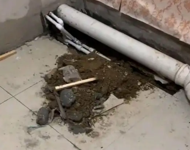 容城卫生间漏水检测哪家好