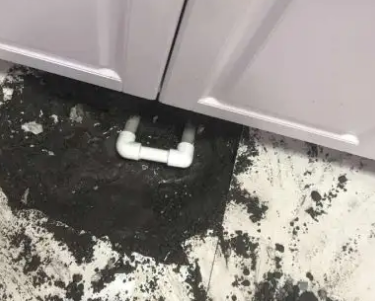 容城查漏水哪家好