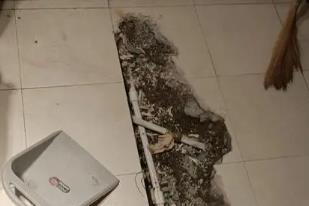 容城卫生间漏水检测电话